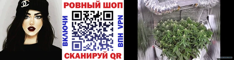 Купить Шахунья ГАШИШ  Галлюциногенные грибы  Кокаин  Мефедрон  Конопля  АМФЕТАМИН 