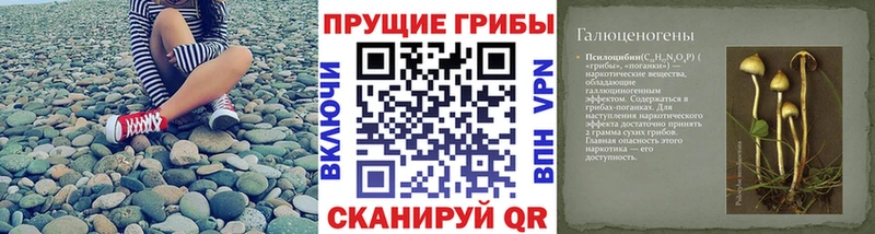 Галлюциногенные грибы GOLDEN TEACHER  купить   Шахунья 